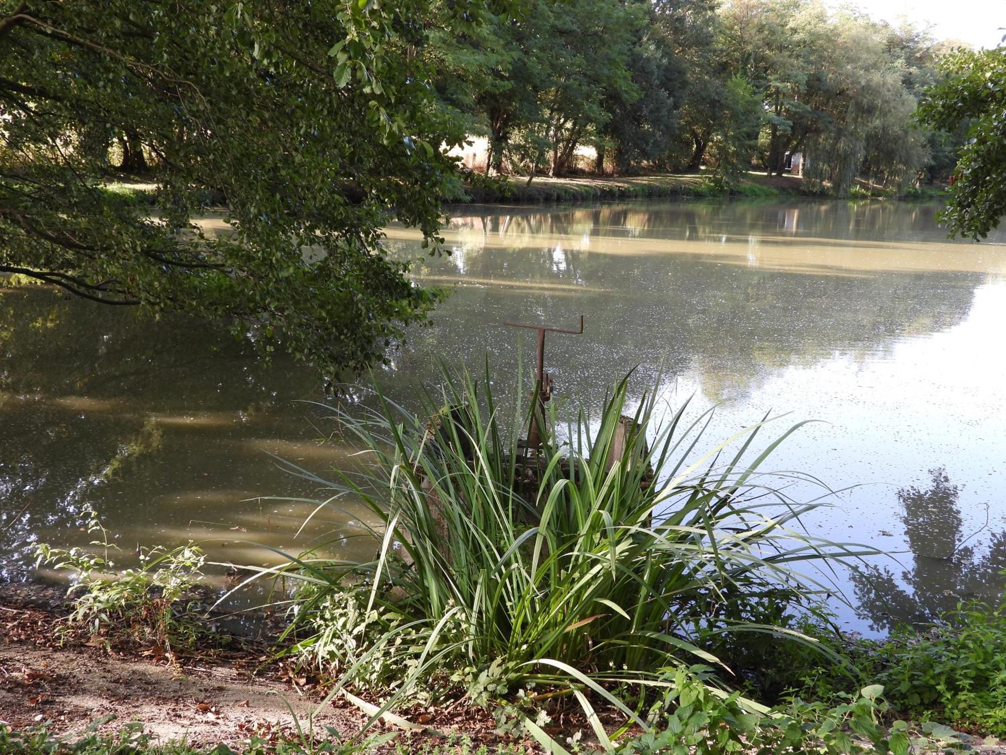 Le Hameau De La Closerie Flere-la-Riviere Ngoại thất bức ảnh
